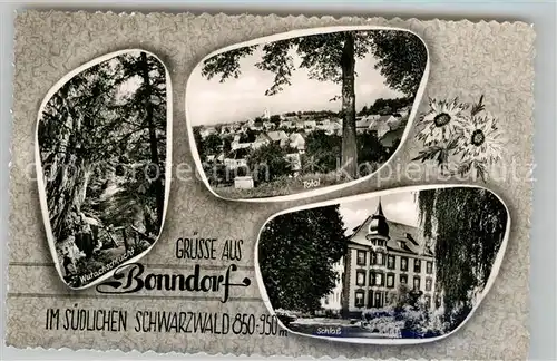 AK / Ansichtskarte Bonndorf Schwarzwald Wutachschlucht Schloss Gesamtansicht  Kat. Bonndorf