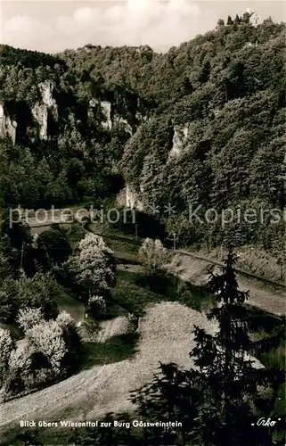 AK / Ansichtskarte Goessweinstein Wiesenttal Kat. Goessweinstein