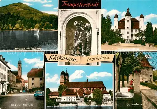 AK / Ansichtskarte Saeckingen Rhein Bergsee Eggberg Trompeter Schloss Muenster Gallusturm Kat. Bad Saeckingen