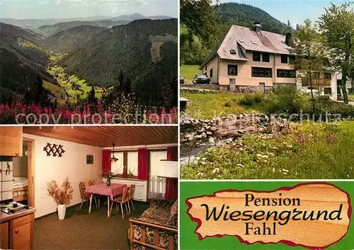 AK / Ansichtskarte Fahl Feldberg Pension Wiesengrund Kat. Todtnau