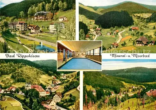 AK / Ansichtskarte Bad Rippoldsau Schwarzwald Wolftal Kat. Bad Rippoldsau Schapbach