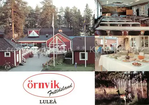 AK / Ansichtskarte Lulea oernvik Fritidsland Details Kat. Lulea