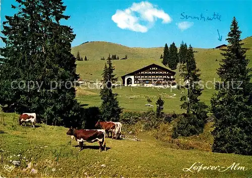 AK / Ansichtskarte Lofer Haus Gertraud in der Sonne Loferer Alpe Kat. Lofer