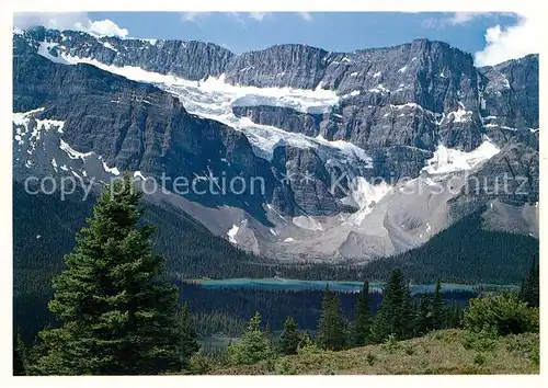 AK / Ansichtskarte Gletscher Crowfoot Glacier Banff National Park  Kat. Berge