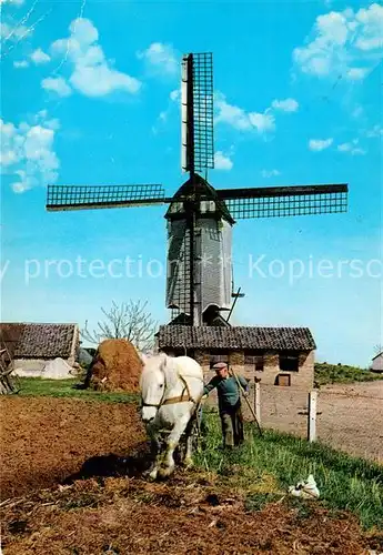AK / Ansichtskarte Windmuehle Holland Landwirtschaft Pferd  Kat. Gebaeude und Architektur