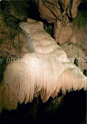 AK / Ansichtskarte Hoehlen Caves Grottes Lurgrotte Peggau Semriach Riesenpalme  Kat. Berge