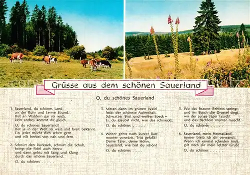 AK / Ansichtskarte Liederkarte O du schoenes Sauerland  Kat. Musik