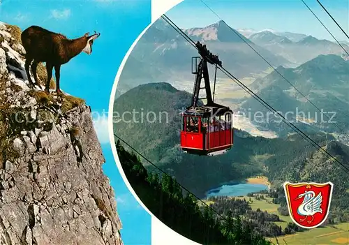 AK / Ansichtskarte Seilbahn Tegelberg Schwangau Gemse  Kat. Bahnen