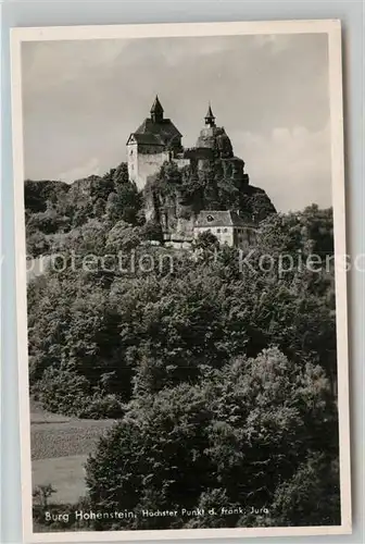 AK / Ansichtskarte Hersbruck Burg Hohenstein Kat. Hersbruck