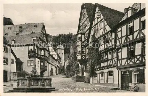 AK / Ansichtskarte Miltenberg Main Schnatterloch Kat. Miltenberg