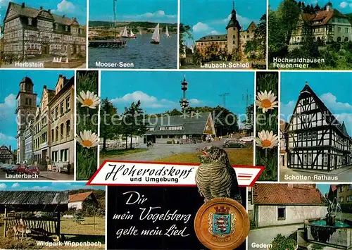 AK / Ansichtskarte Hoherodskopf Herbstein Mooser Seen Laubach Schloss Hochwaldhausen Felsenmeer Lauterbach Schotten Rathaus Wildpark Wippenbach Gedern Kat. Schotten