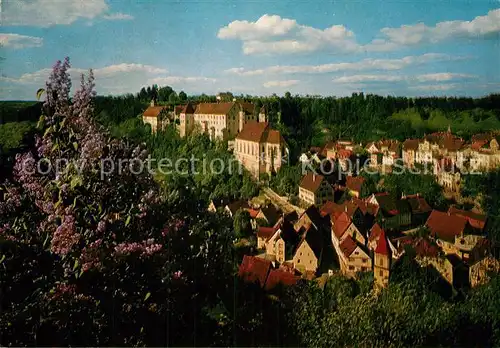 AK / Ansichtskarte Haigerloch Schlosskirche und Schloss  Kat. Haigerloch