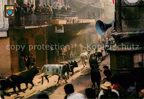 AK / Ansichtskarte Stiere Pamplona Fiestas de San Fermin Encierro de los Toros Kat. Tiere