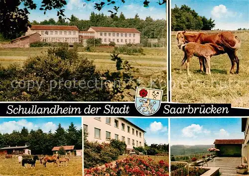AK / Ansichtskarte Saarbruecken Schullandheim Friedrich Margardt-Haus Pferde / Saarbruecken /Saarbruecken Stadtkreis