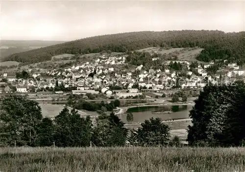 AK / Ansichtskarte Bad Koenig Odenwald Panorama  Kat. Bad Koenig