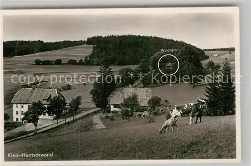 AK / Ansichtskarte Kleinherrischwand Waldheim Weidetiere Kat. Herrischried