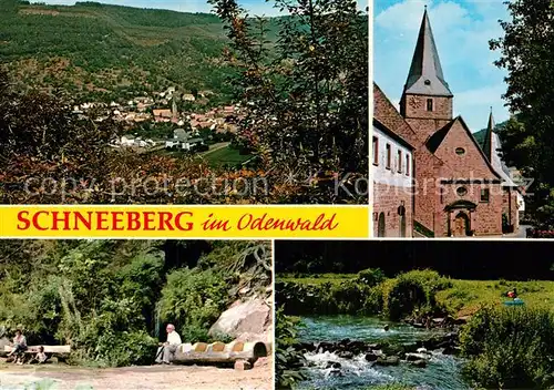 AK / Ansichtskarte Schneeberg Unterfranken Kirche Park Panorama Kat. Schneeberg