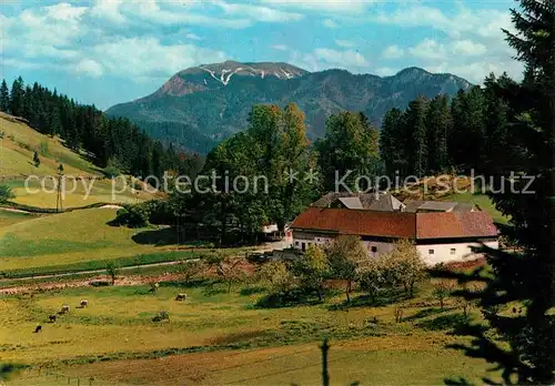 AK / Ansichtskarte Schneeberg Oesterreich Alpengasthof zur Kalten Kuchl  Kat. Oesterreich