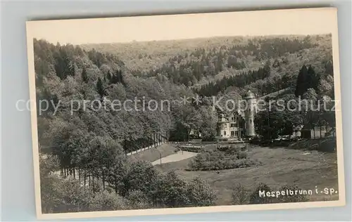 AK / Ansichtskarte Mespelbrunn Wasserschloss Kat. Mespelbrunn