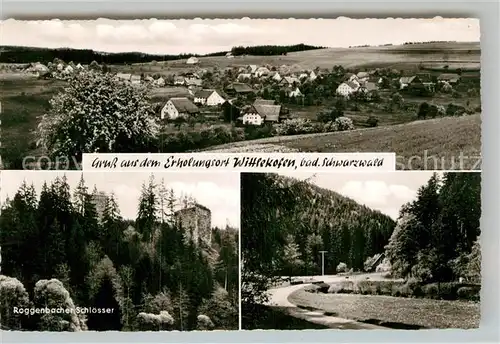 AK / Ansichtskarte Wittlekofen Roggenbacher Schloesser Panorama  Kat. Bonndorf