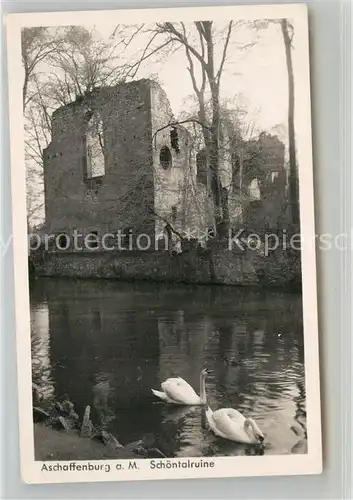 AK / Ansichtskarte Aschaffenburg Main Schoental Ruine Kat. Aschaffenburg