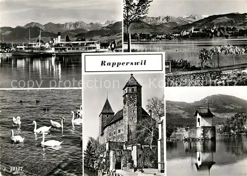 AK / Ansichtskarte Rapperswil SG am Zuerichsee Dampfer Schwaene Burg Kapelle Alpenblick Kat. Rapperswil SG