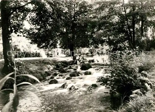 AK / Ansichtskarte Eberswalde Wehr am Ammenpark Kat. Eberswalde Waldstadt