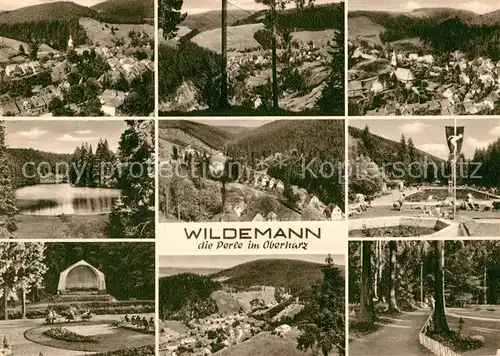 AK / Ansichtskarte Wildemann  Kat. Wildemann Harz