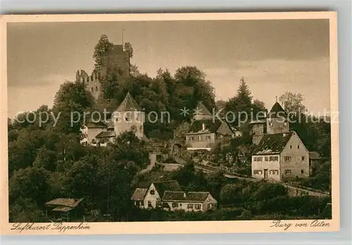 AK / Ansichtskarte Pappenheim Mittelfranken Burg von Osten Kat. Pappenheim