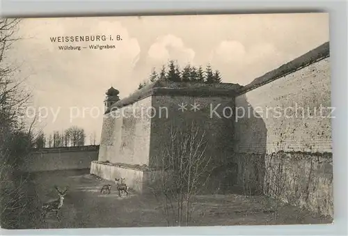 AK / Ansichtskarte Weissenburg Bayern Wuelzburg Wallgraben Kat. Weissenburg i.Bay.