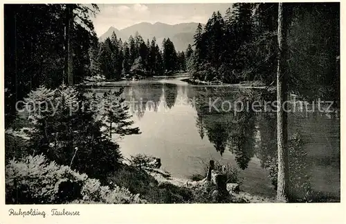 AK / Ansichtskarte Ruhpolding Taubensee Kat. Ruhpolding