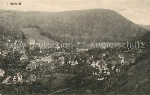 AK / Ansichtskarte Bad Liebenzell Panorama Kat. Bad Liebenzell