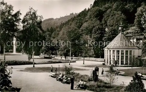 AK / Ansichtskarte Bad Liebenzell Im Kurpark Kat. Bad Liebenzell