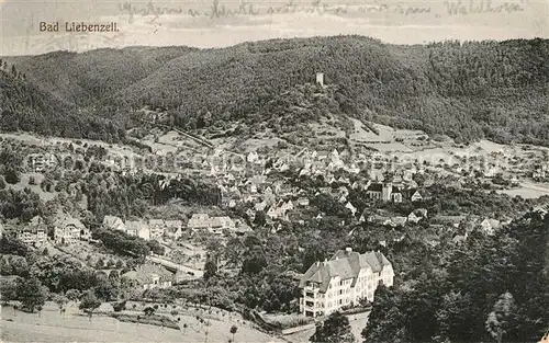 AK / Ansichtskarte Bad Liebenzell Panorama mit Burg Kat. Bad Liebenzell