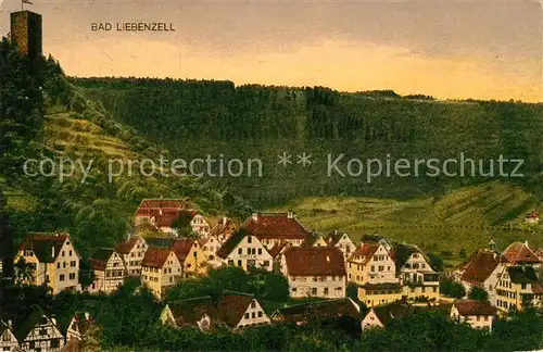 AK / Ansichtskarte Bad Liebenzell Teilansicht mit Burg Kat. Bad Liebenzell