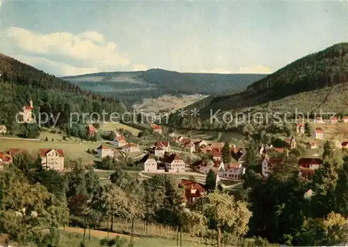 AK / Ansichtskarte Bad Herrenalb Panorama Schwarzwald Kat. Bad Herrenalb