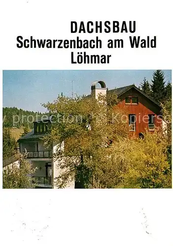 AK / Ansichtskarte Schwarzenbach Wald Dachsbau Kat. Schwarzenbach a.Wald