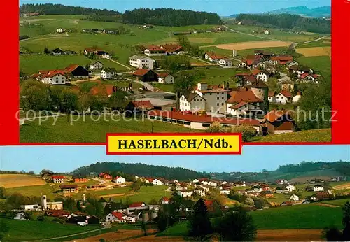 AK / Ansichtskarte Haselbach Niederbayern Panorama Kat. Geisenhausen