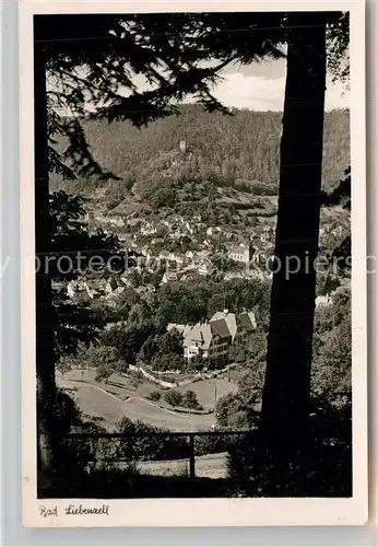 AK / Ansichtskarte Bad Liebenzell Teilansicht mit Burg Kat. Bad Liebenzell