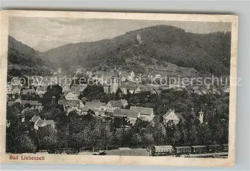 AK / Ansichtskarte Bad Liebenzell Panorama Kat. Bad Liebenzell