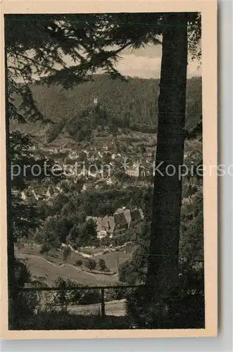 AK / Ansichtskarte Bad Liebenzell Teilansicht mit Burg Kat. Bad Liebenzell