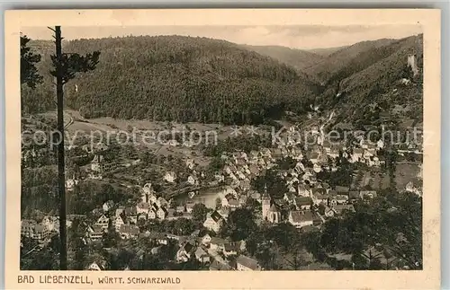 AK / Ansichtskarte Bad Liebenzell Panorama Kat. Bad Liebenzell