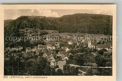 AK / Ansichtskarte Bad Liebenzell Panorama Kat. Bad Liebenzell