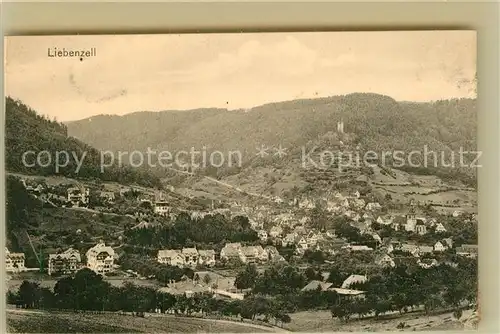 AK / Ansichtskarte Bad Liebenzell Panorama Kat. Bad Liebenzell