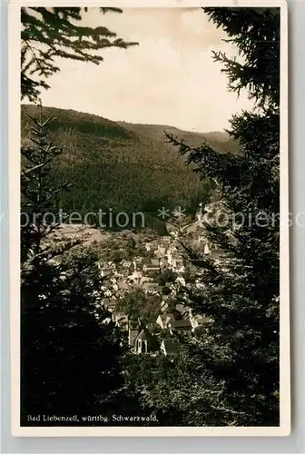 AK / Ansichtskarte Bad Liebenzell Panorama Kat. Bad Liebenzell