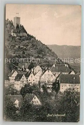 AK / Ansichtskarte Bad Liebenzell Teilansicht mit Burg Kat. Bad Liebenzell