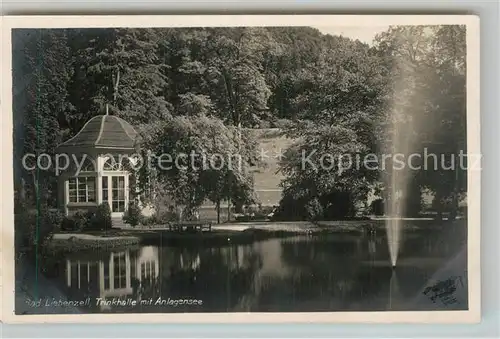 AK / Ansichtskarte Bad Liebenzell Trinkhalle mit Anlagensee Kat. Bad Liebenzell