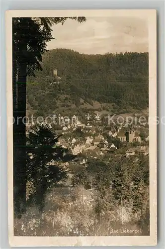 AK / Ansichtskarte Bad Liebenzell Panorama mit Burg Kat. Bad Liebenzell