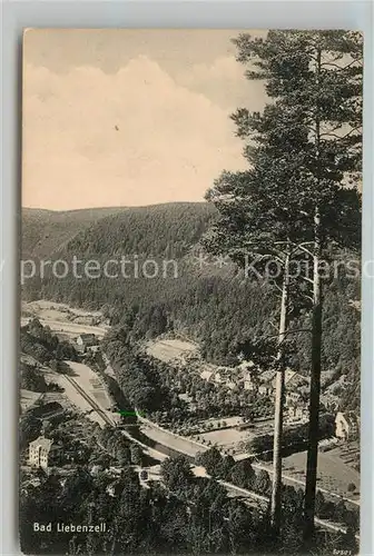 AK / Ansichtskarte Bad Liebenzell Panorama Kat. Bad Liebenzell