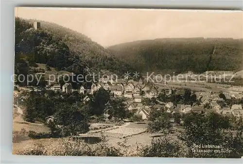 AK / Ansichtskarte Bad Liebenzell Teilansicht mit Burg Kat. Bad Liebenzell